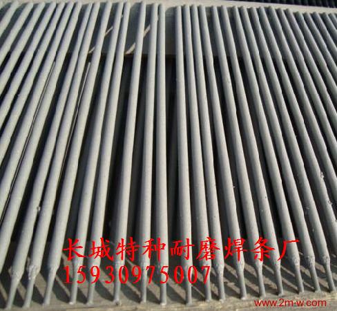 E310-16P䓺l