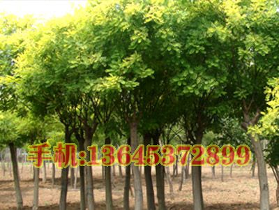 r 5-30ևr