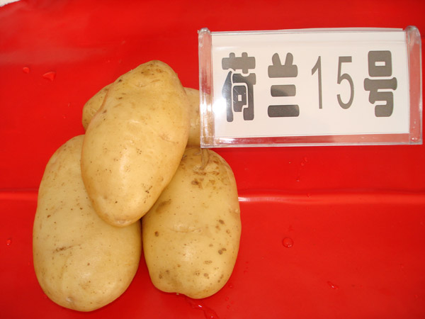 rԺN2012＾NӃrA|N