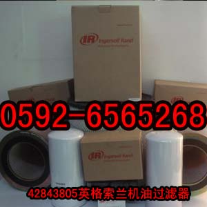 42843805ӢmC^V