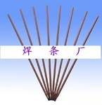 D856-6ߜĥl