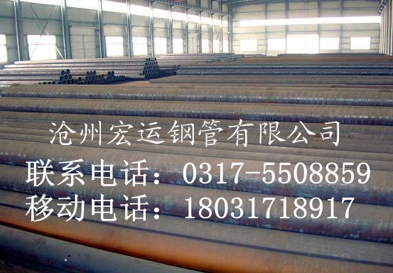 8162 Yßop䓹 ӱßop䓹 ݃r