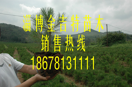 磬30-40С