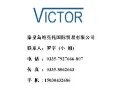 Voigt늰