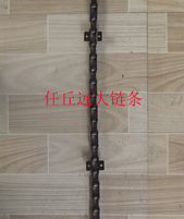 ոC朗lի@C朗l