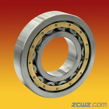 NU207ECJSNU207ECJSNU207ECJS