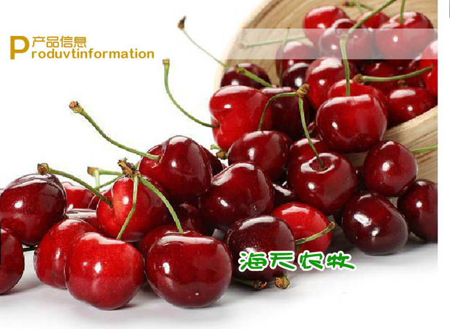 ܇ ޽܇ ܇ 봨܇