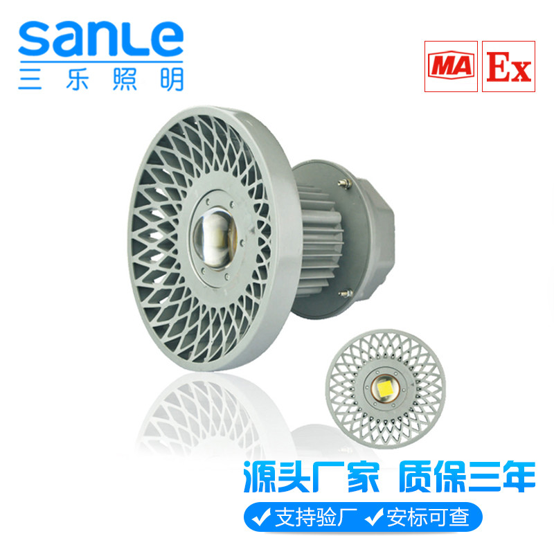 DGS100/127LVLED100W