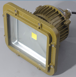 100WLEDS