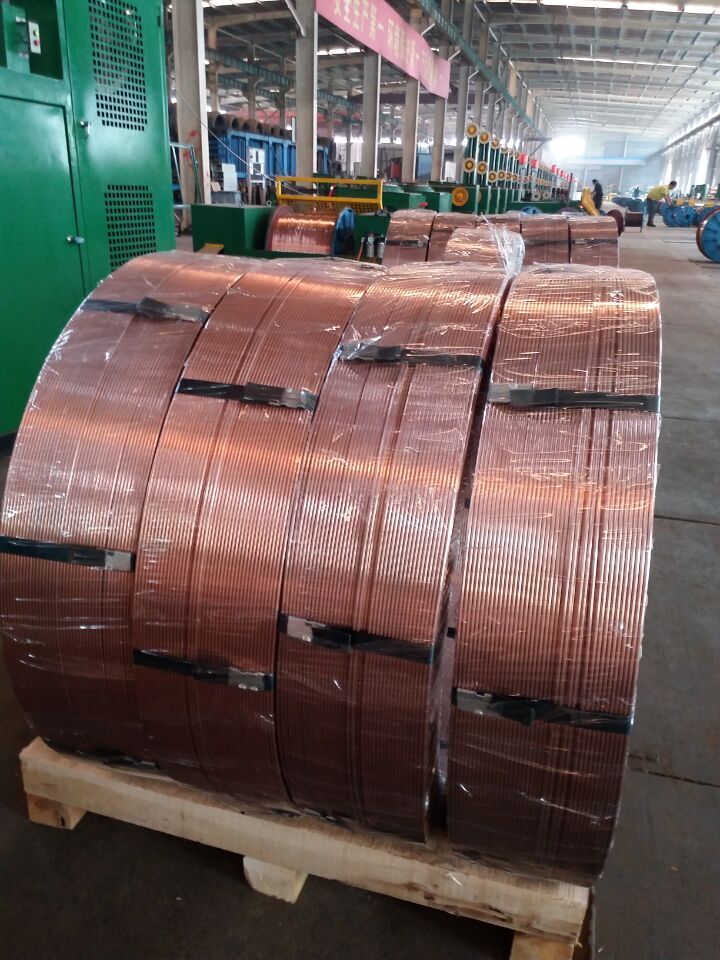 ϺPP-TIG-309LMo廡z