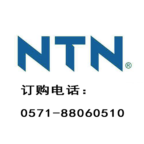 NTN 6008-8RZS-6008-2RZSЬF؛
