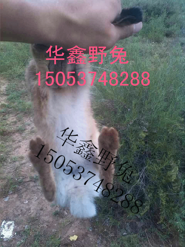xuِõҰ