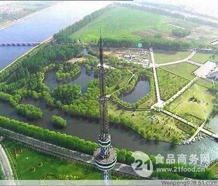 TCеƼ޹˾