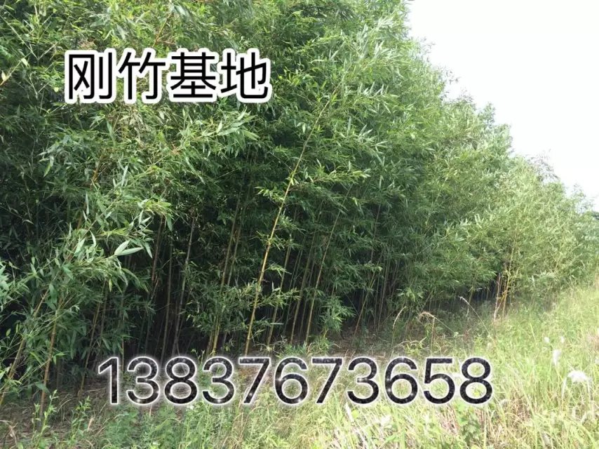 3Ӄr  2ֵ   1׸߹l