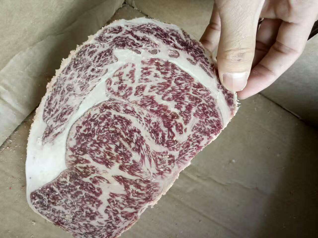 ôMţlXߗlţСl~߅~~l