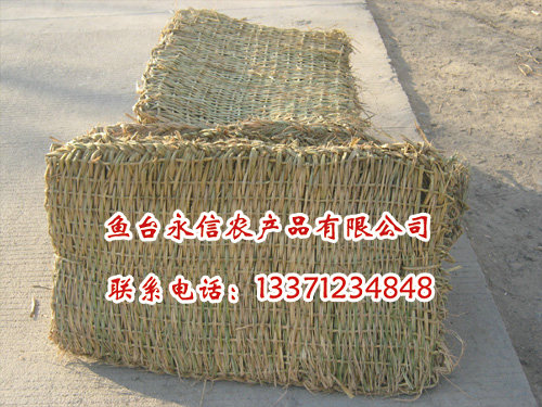 oݴ