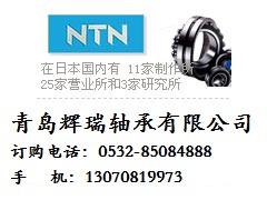 NTN 1300SS