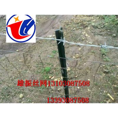 \FzW \䓽zţھWˇ;