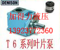 dT6C-017-2R00-CI~Ƭ