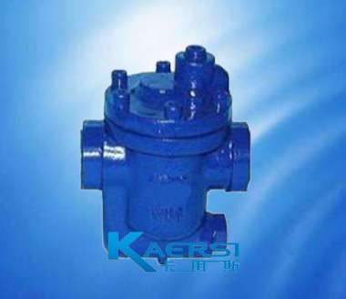 980981981-3982983881