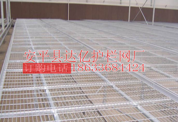 _|紲W紲W ܾW
