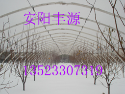 ֧ܙCҴǼܣ߲˴֧SԴ