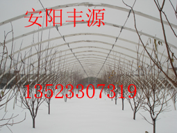 ҴǼʹǼSԴ
