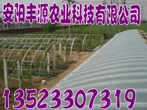 ǼܙC๦߲˴ǼܙC²ϜҴǼܙC߲˴ǼܙC