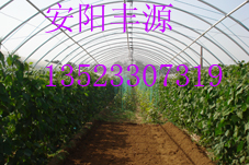 ߲˴ǼܙCSԴrIǼܙC