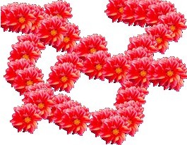ʮּӲP^|ӲʮֱP^ᔏS|ӲʮֱP^SҶϺ