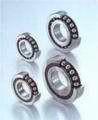 \S7013AC/DBS NSKS