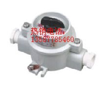 _PBZM-10_PSW-10_P