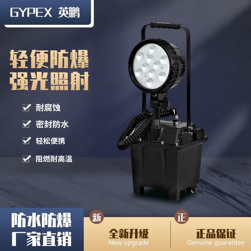 ӢiVaV FW6101⹤