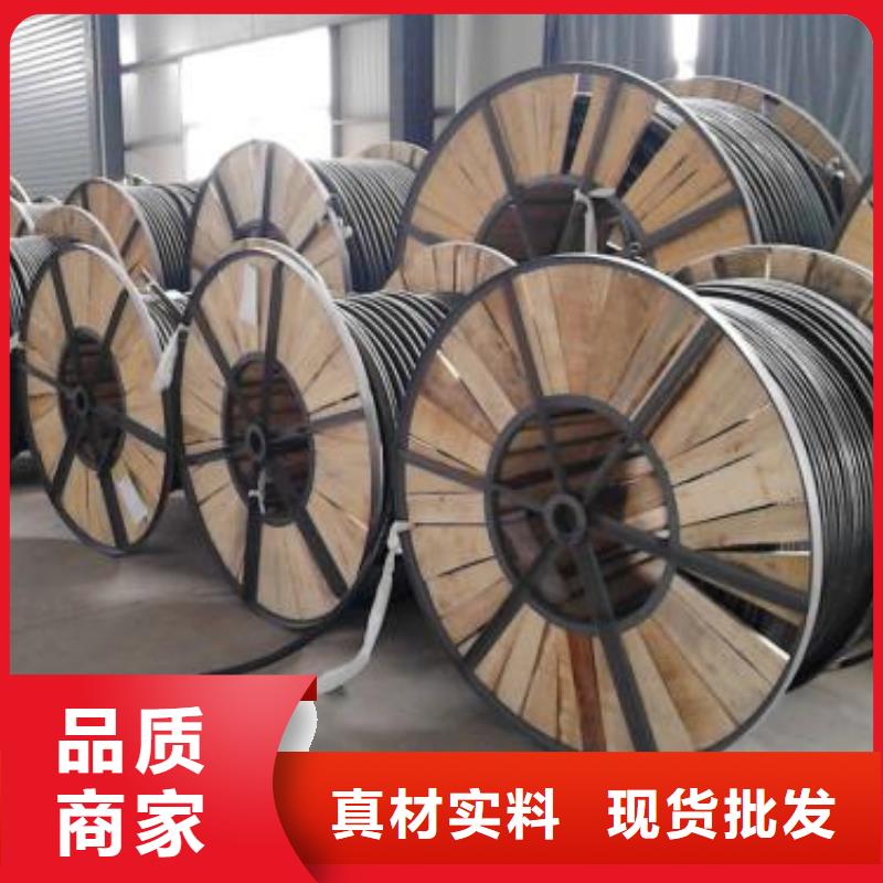 WD-MYJY43-0.6/1KV-|1*150