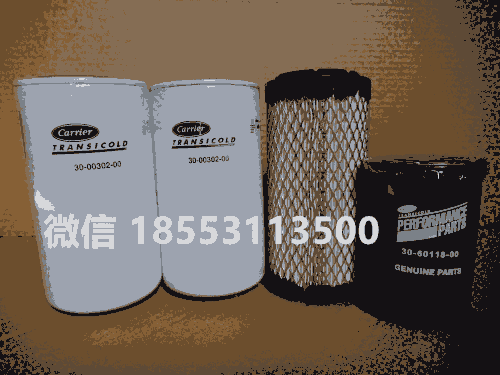 30-00302-00, 300030200 _͞V F؛