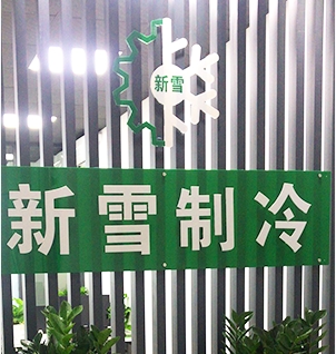 ѩO޹˾