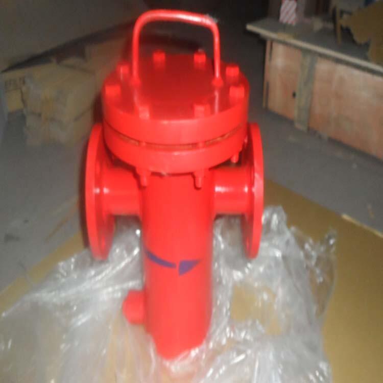 DN100{ʽ^VS