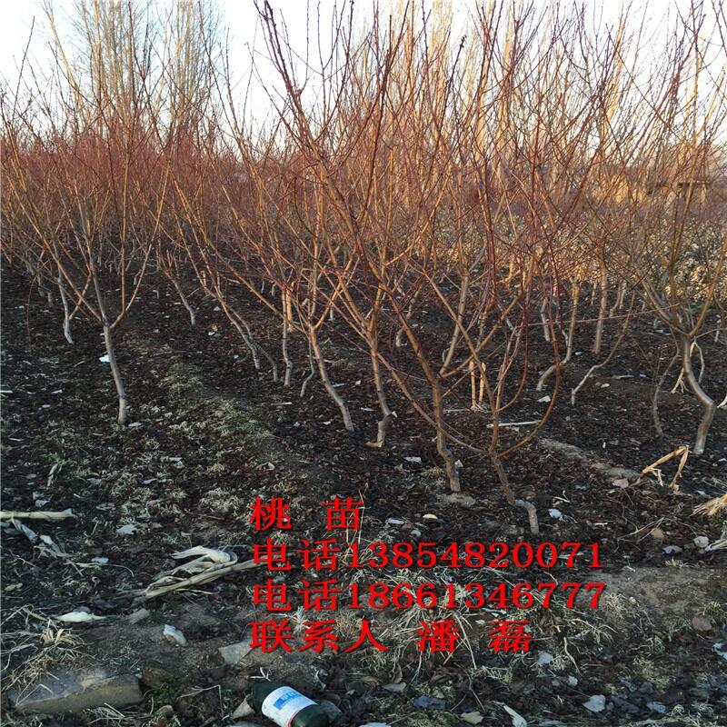 3Ҙ硢3ҘƷN3Ҙr