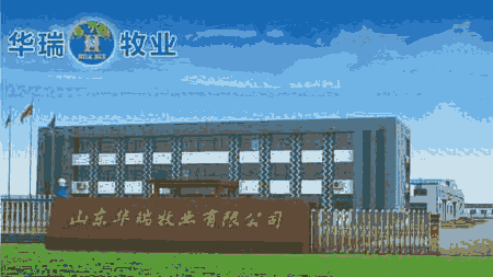 RAI޹˾
