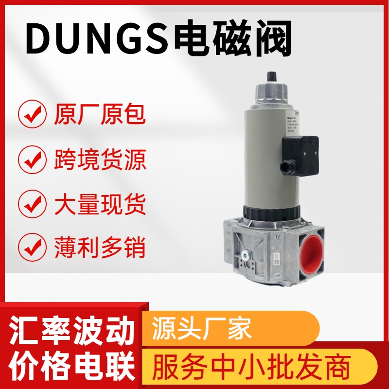 DUNGS늴y  MVDLE ȼ늴y