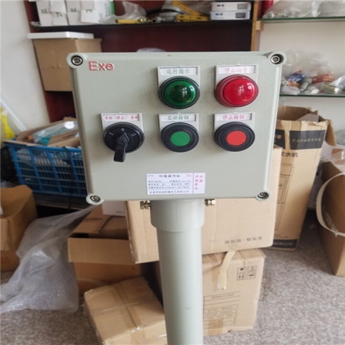 BZC51-B1K1Gڒʽ