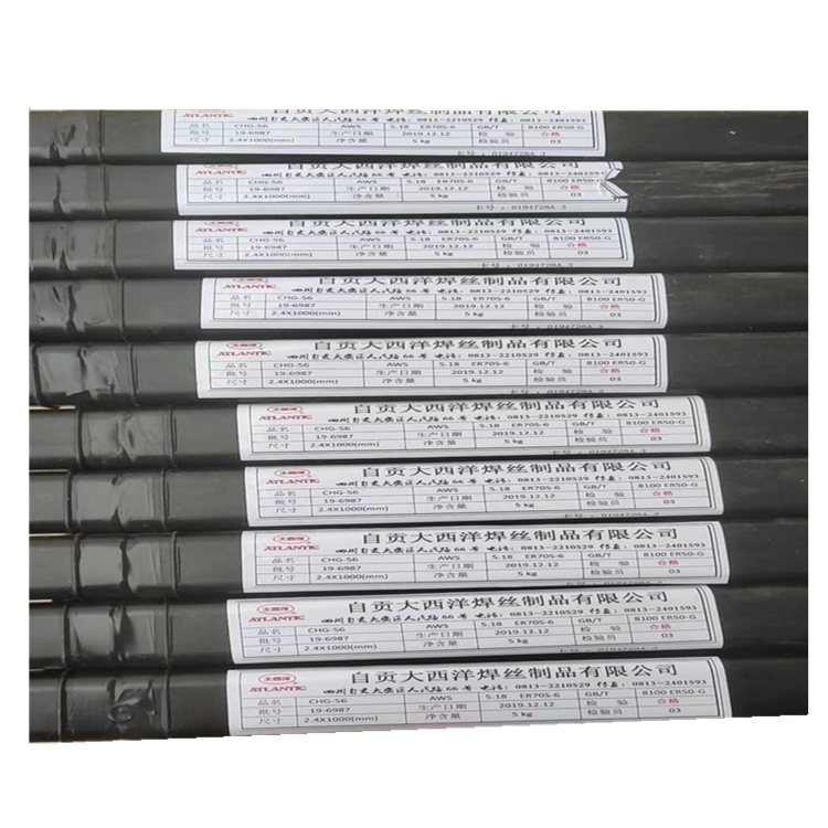  TGS-309MoP䓚廡z H12Cr24Ni13Mo2