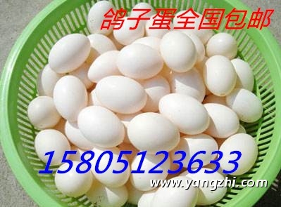 ຣuӵ