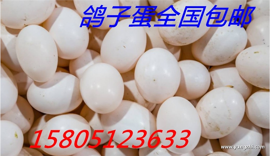 uӵ