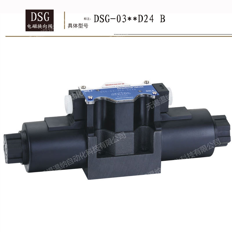 ͨDSG-01-2B8-D24-N-50py