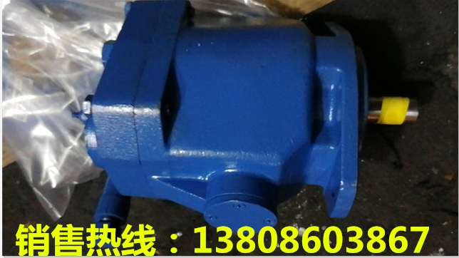 ˹PGF2-2X/016LO20VPұҺ