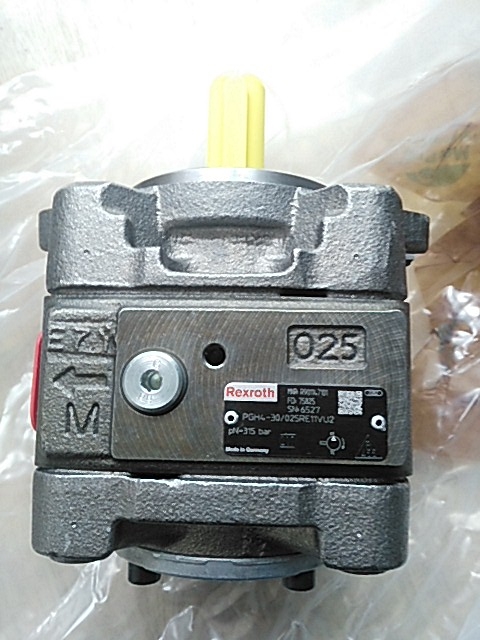 R901147101ʿXX݆Æμ