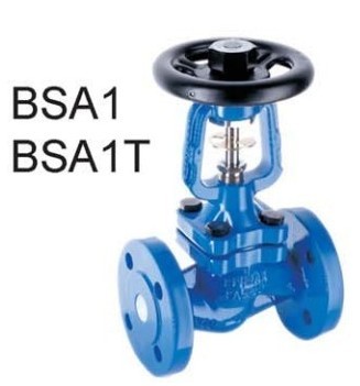 BSA1Ӣ˹ɯ˲yֹܽy