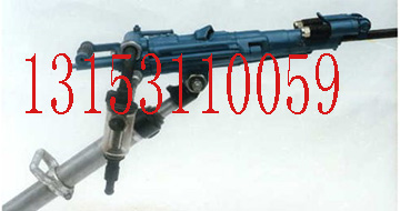 ЧYT29菎rCYT29菎rC
