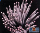 Z408TFl|EZNiFe-1TFl